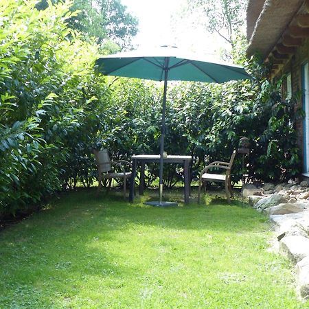 Ferienwohnung Sonnenschein Walsrode Bagian luar foto